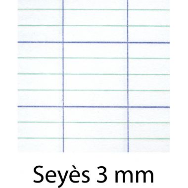 Cahier d'apprentissage MAJUSCULE 17x22 cm, piqûre 32 pages, seyès 3mm, couverture PP vert