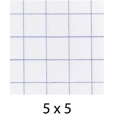 Piqûre 96 pages MAJUSCULE, format A4, papier blanc 90g, quadrillé 5x5, couverture polypropylène incolore