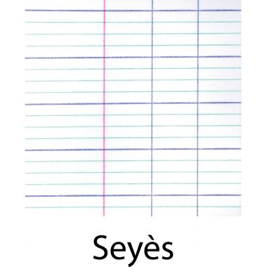Cahier de texte 124 pages couverture polypropylène, format 17x22 cm, seyès 90g