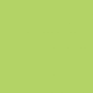 Paquet de 30 protège-cahiers grain 10/100ème format 17 x 22 cm coloris vert clair