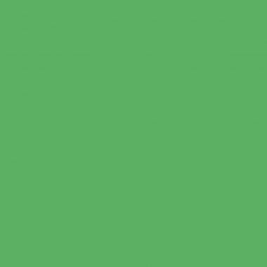 Paquet de 30 protège-cahiers grain 10/100ème format 17 x 22 cm coloris vert