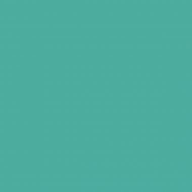Flacon de 1 L de gouache liquide coloris turquoise