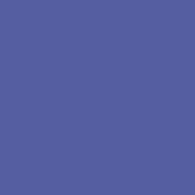 Roller V5 violet