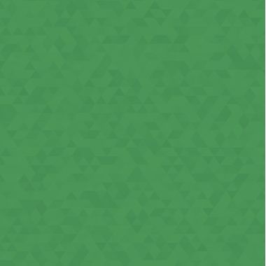 Chemise 3 rabats à élastiques TOP FILE+ en carte lustrée 4/10ème 390g, vert