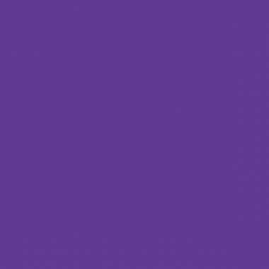 Esselte Classeur à levier CHROMOS+ pour format A4, dos 8 cm, violet - 230112